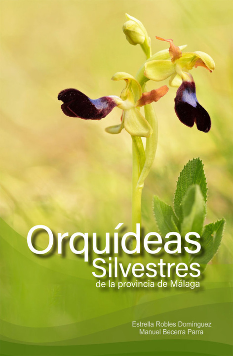 Kniha Orquídeas silvestres de la provincia de Málaga Becerra Parra