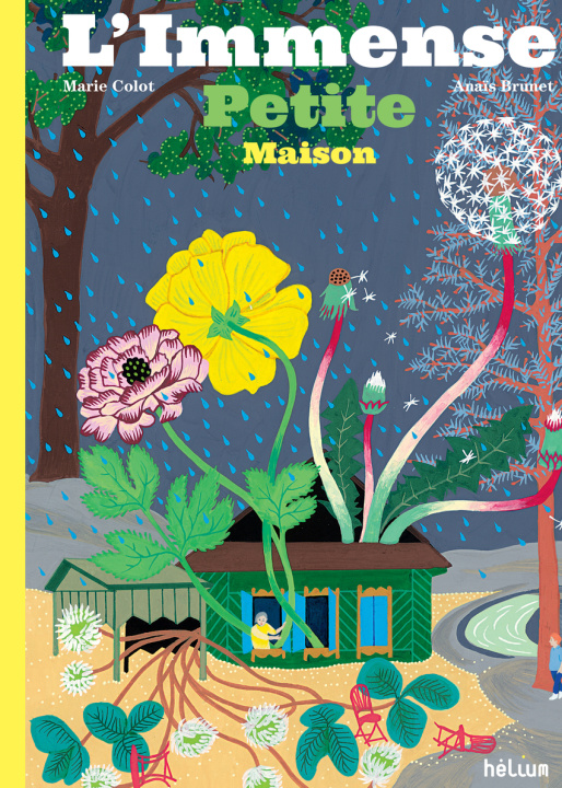 Book L'immense petite maison Colot
