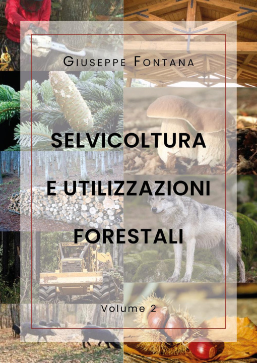 Könyv Selvicoltura e utilizzazioni forestali Giuseppe Fontana