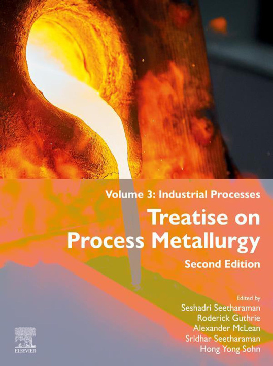 E-kniha Treatise on Process Metallurgy Seshadri Seetharaman