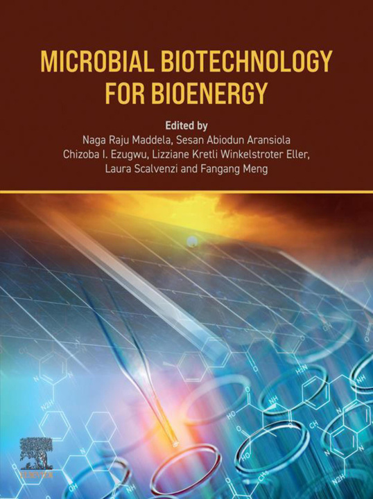 E-kniha Microbial Biotechnology for Bioenergy Naga Raju Maddela