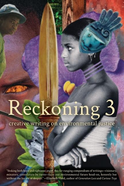 Knjiga Reckoning 3 Danika Dinsmore
