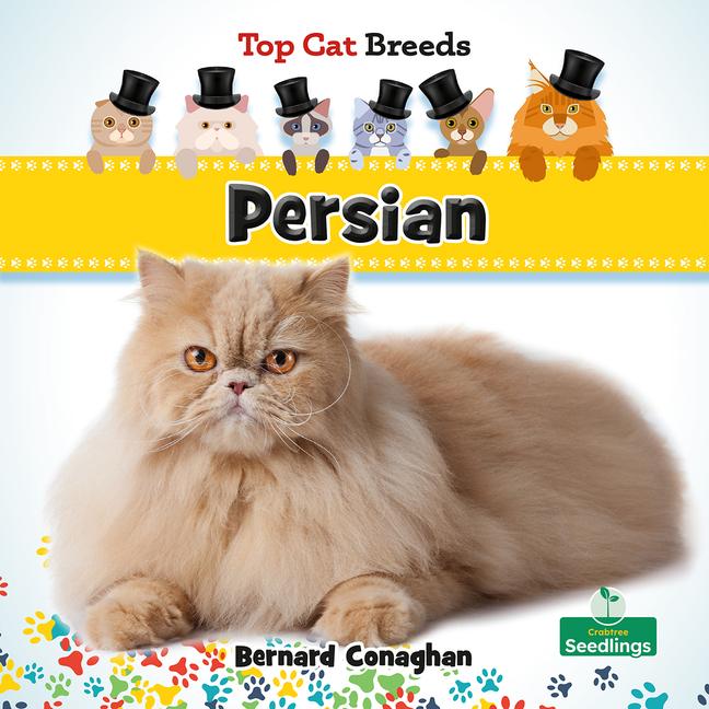 Knjiga Persian 