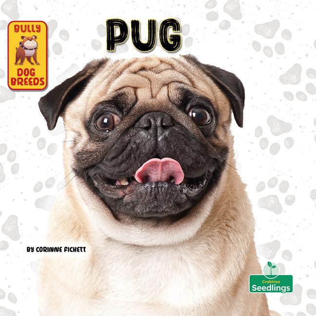 Knjiga Pug 