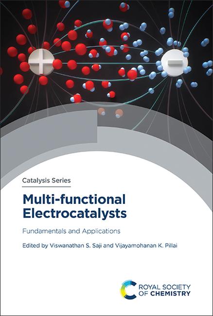 Knjiga Multi-Functional Electrocatalysts Vijayamohanan K Pillai