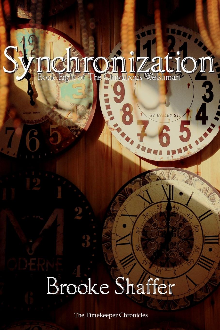 Knjiga Synchronization Brooke M Shaffer
