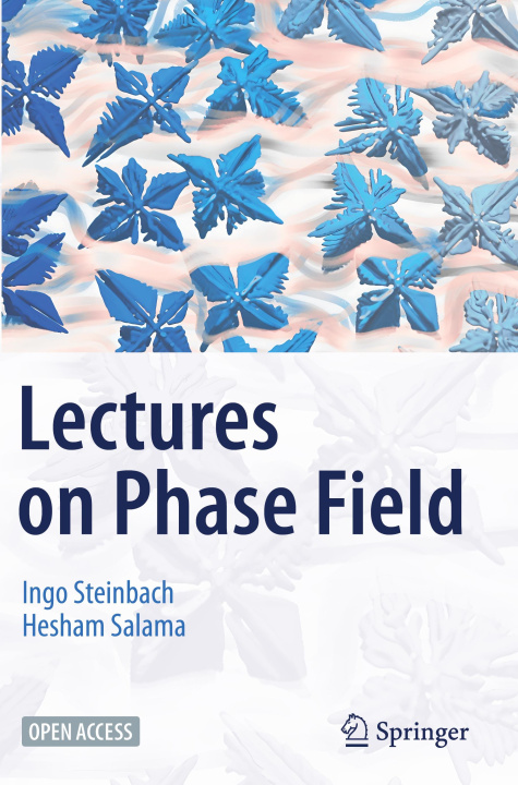 Kniha Lectures on Phase Field Ingo Steinbach