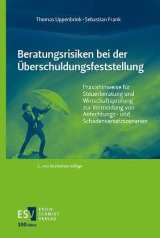 Buch Beratungsrisiken bei der Überschuldungsfeststellung Sebastian Frank