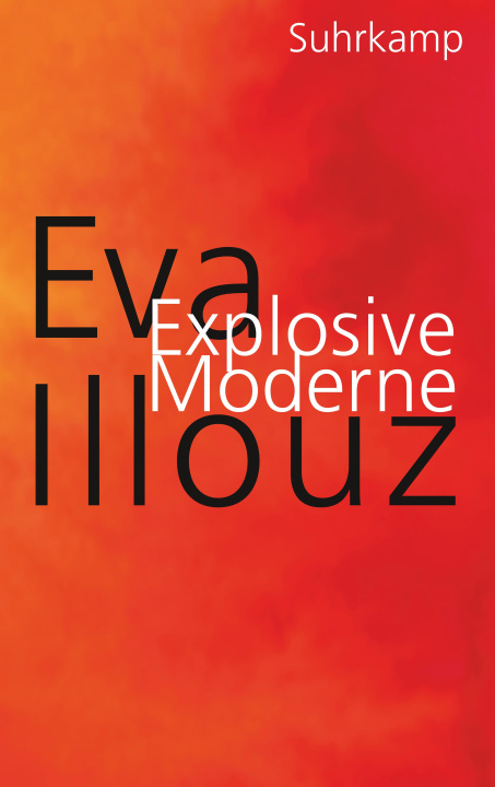 Buch Explosive Moderne Michael Adrian
