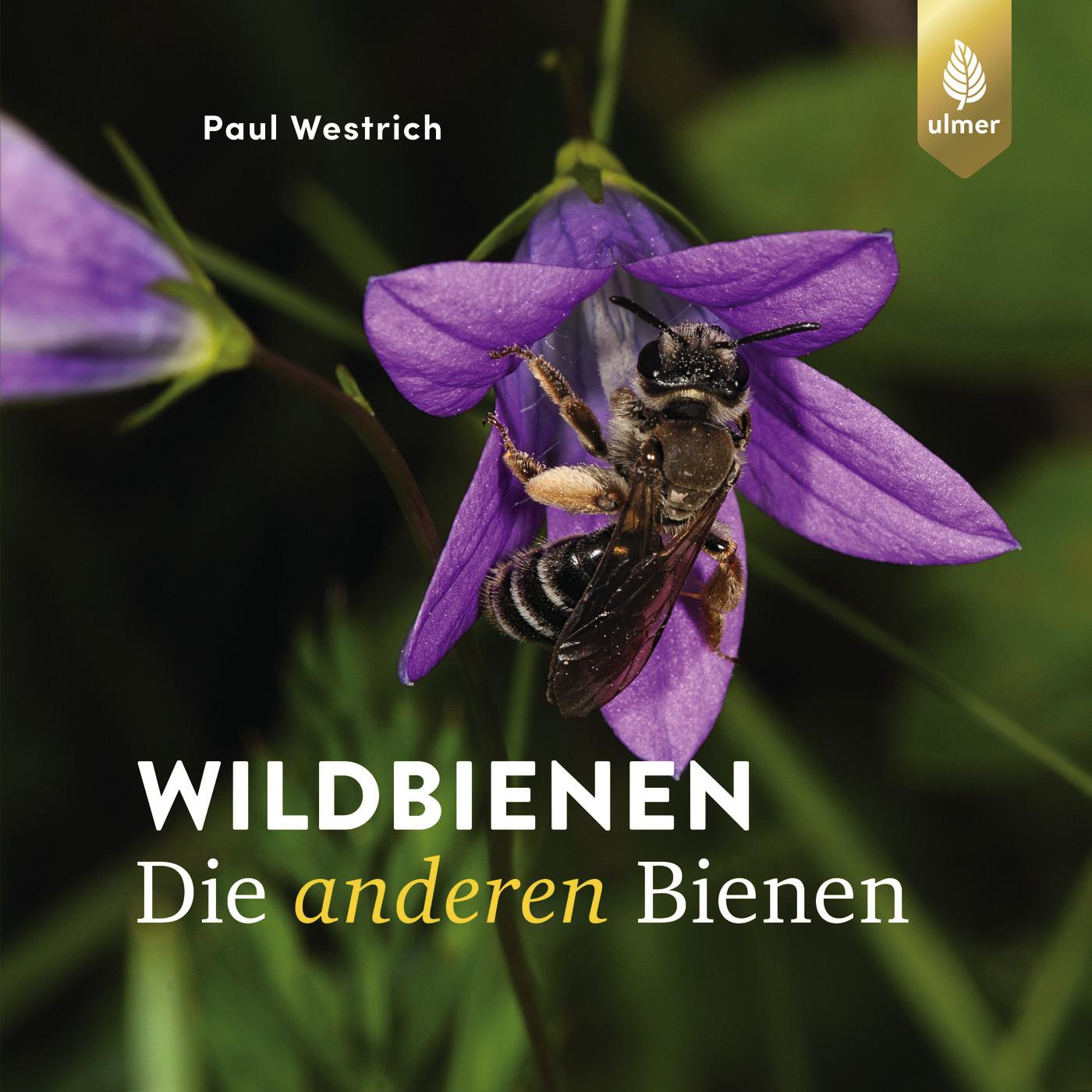 Könyv Wildbienen die anderen Bienen 