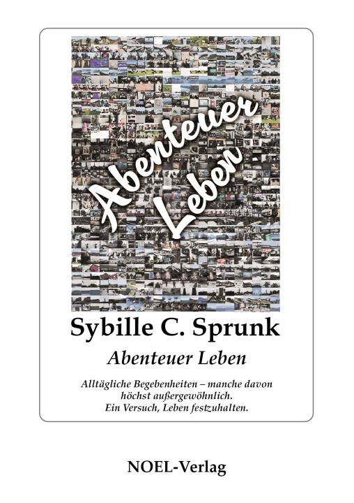 Knjiga Abenteuer Leben Sybille C. Sprunk