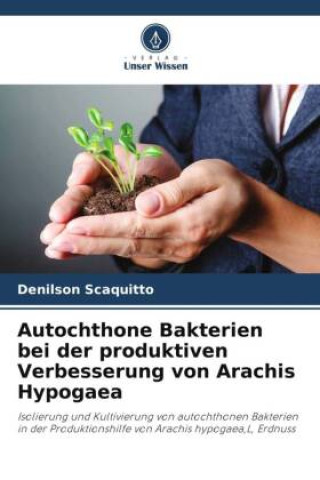 Książka Autochthone Bakterien bei der produktiven Verbesserung von Arachis Hypogaea 