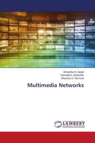 Knjiga Multimedia Networks Vishwajit K. Barbudhe