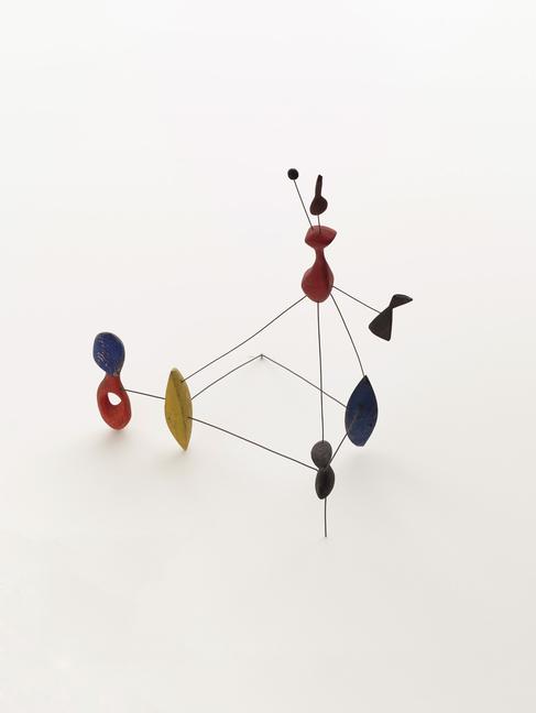 Kniha Calder 