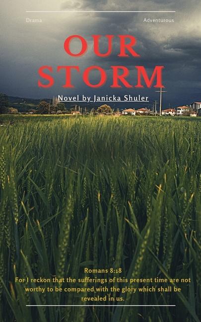 Knjiga Our Storm 