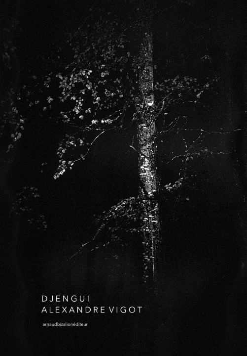 Knjiga Djengui 
