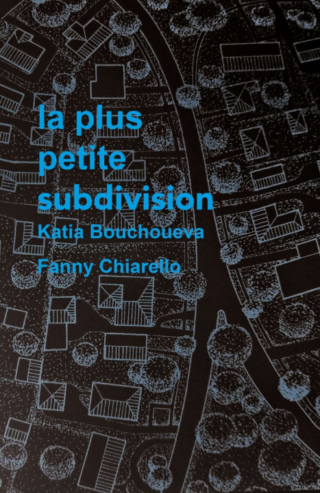 Book La plus petite subdivision Bouchoueva