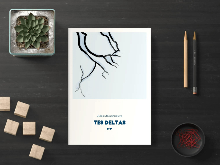 Βιβλίο Tes deltas Maisonneuve