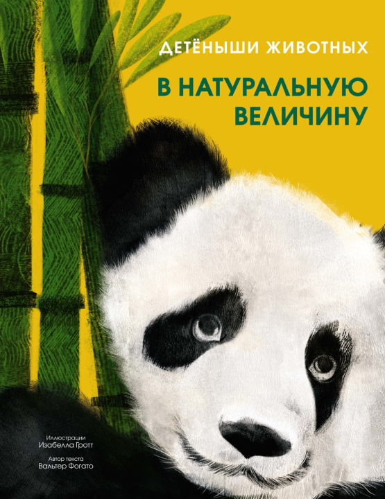 Boek Детёныши животных в натуральную величину В. Фогато