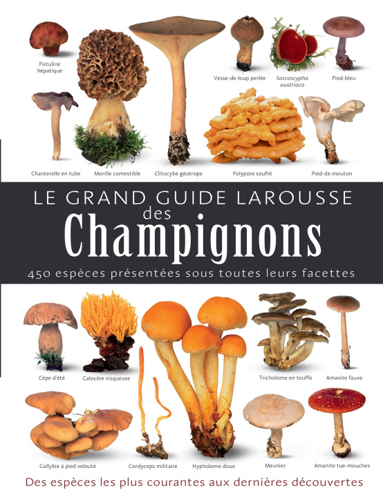 Buch Le grand guide Larousse des champignons Thomas Laessoe