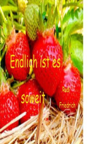 Βιβλίο Es ist soweit Haßfurt Rudi Friedrich