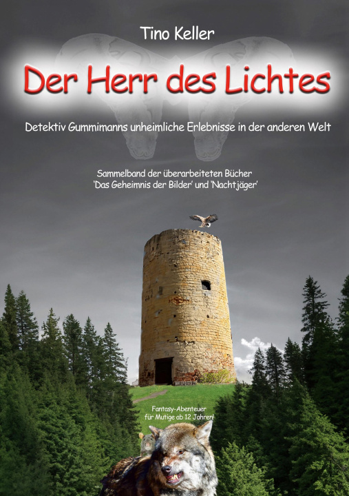 Книга Der Herr des Lichtes Tino Keller