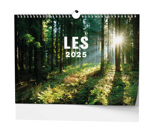 Kalendář/Diář Les 2025 - nástěnný kalendář 