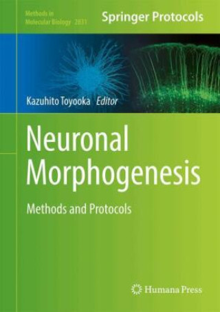 Knjiga Neuronal Morphogenesis Kazuhito Toyooka