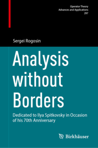 Knjiga Analysis without Borders Sergei Rogosin