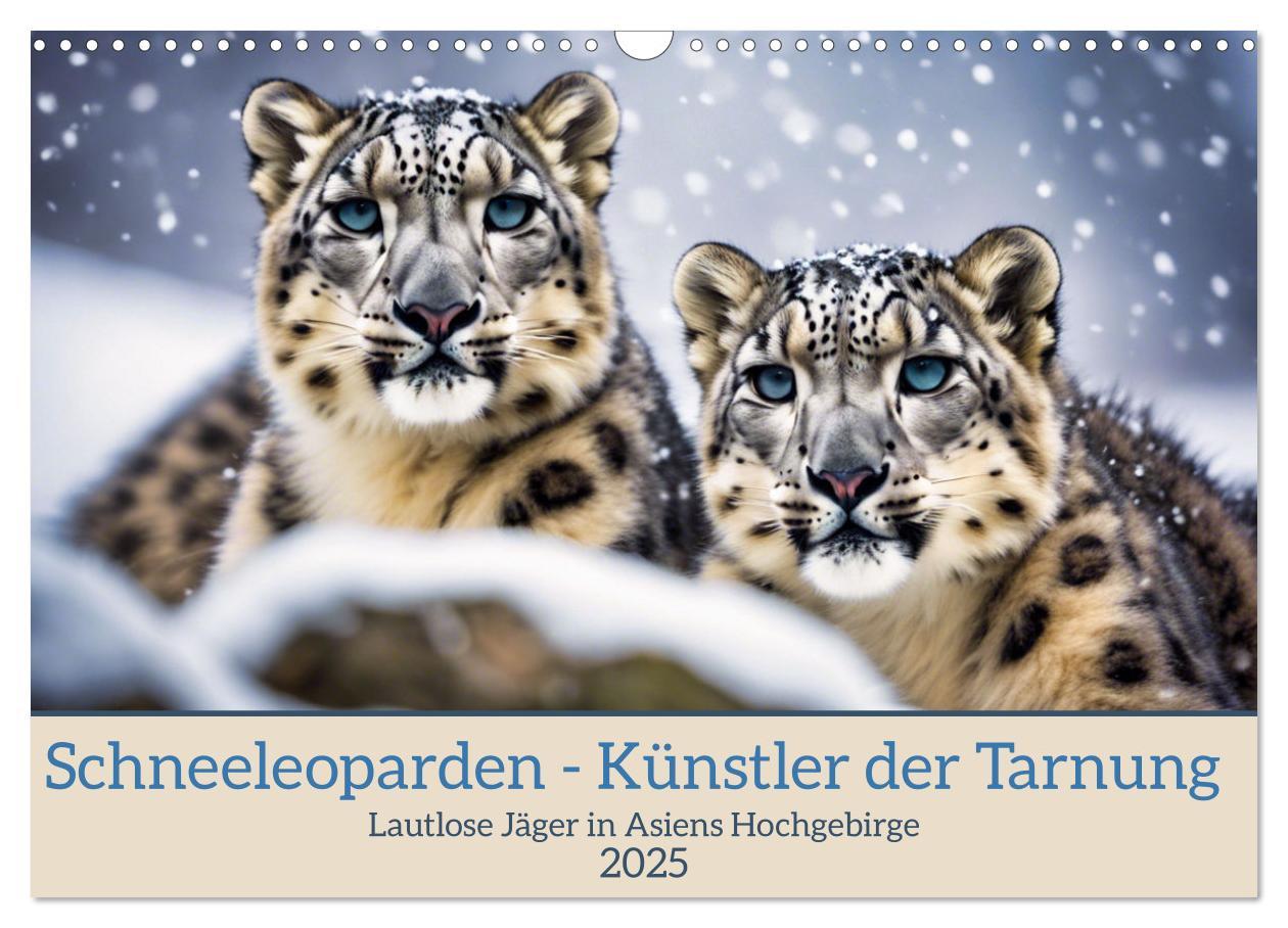 Kalendar/Rokovnik Schneeleoparden - Meister der Tarnung (Wandkalender 2025 DIN A3 quer), CALVENDO Monatskalender Calvendo