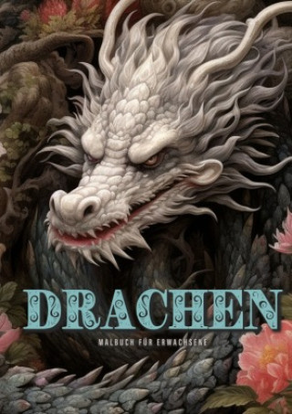 Kniha Drachen Malbuch für Erwachsene Monsoon Publishing