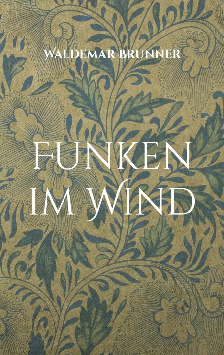 Knjiga Funken im Wind Waldemar Brunner