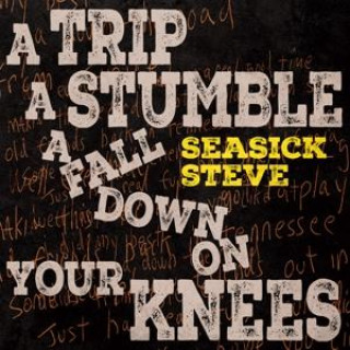 Audio A Trip A Stumble A Fall Down On Your Knees Seasick Steve