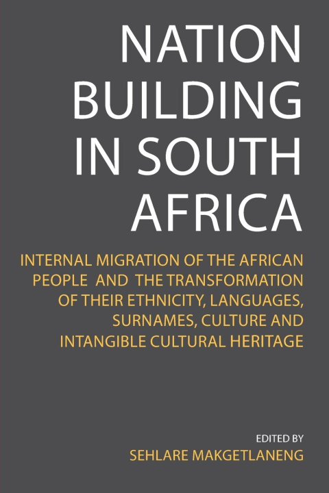 Knjiga Nation Building in South Africa Sehlare Makgetlaneng