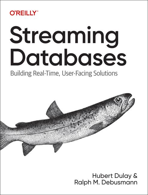 Buch Streaming Databases Ralph Matthias Debusmann