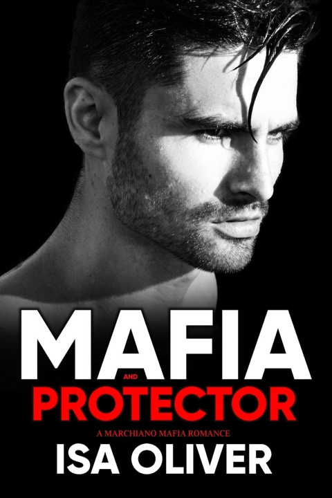 Livre Mafia And Protector 