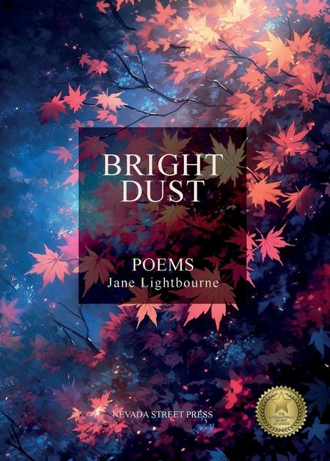 Buch Bright Dust Jane Lightbourne