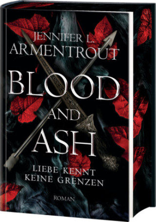 Книга Blood and Ash - Liebe kennt keine Grenzen Sonja Rebernik-Heidegger