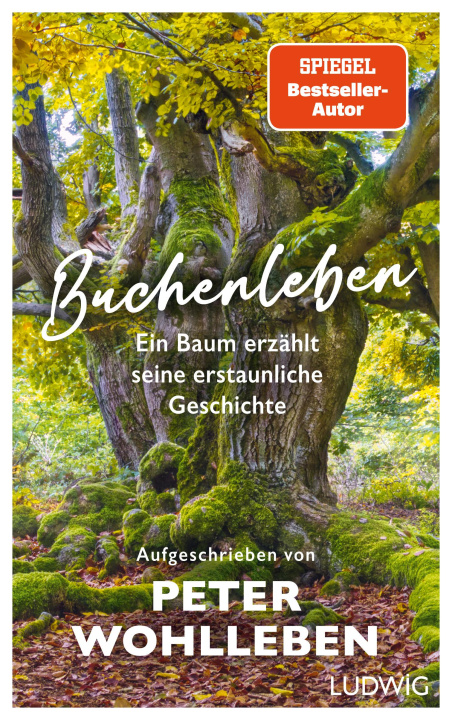 Kniha Buchenleben Mascha Greune