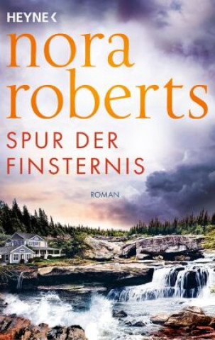 Книга Spur der Finsternis Christiane Burkhardt