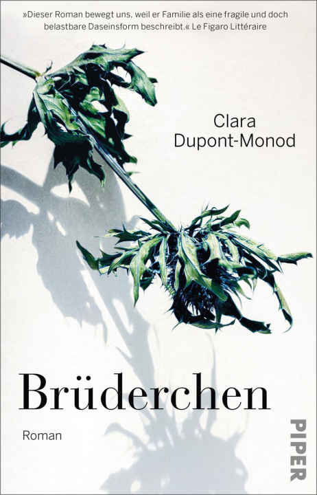 Knjiga Brüderchen Sonja Finck