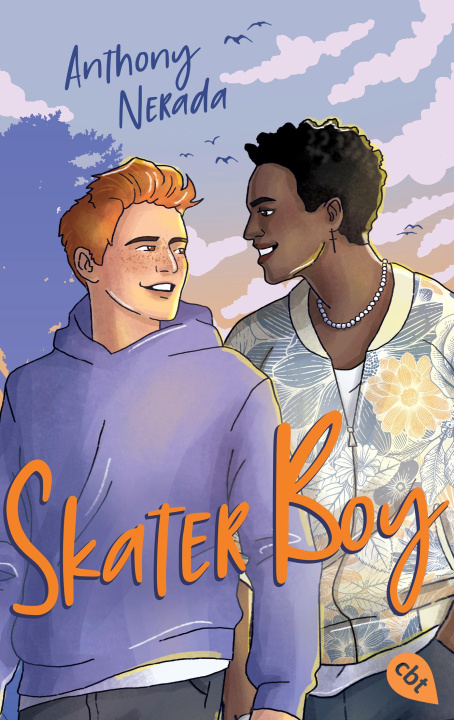 Book Skater Boy Mareike Weber