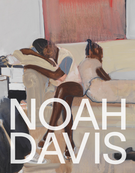 Kniha Noah Davis Paola Malavassi