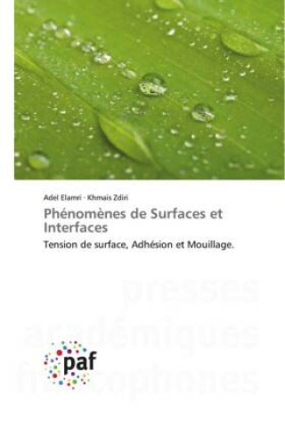 Kniha Phénom?nes de Surfaces et Interfaces Khmais Zdiri