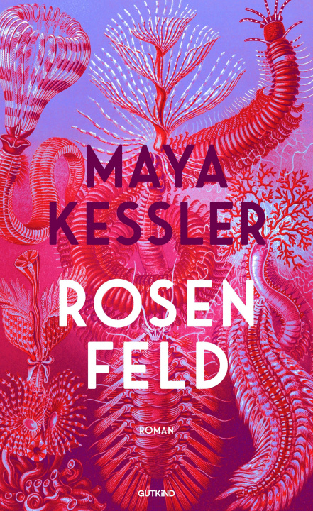 Buch Rosenfeld Lucia Engelbrecht