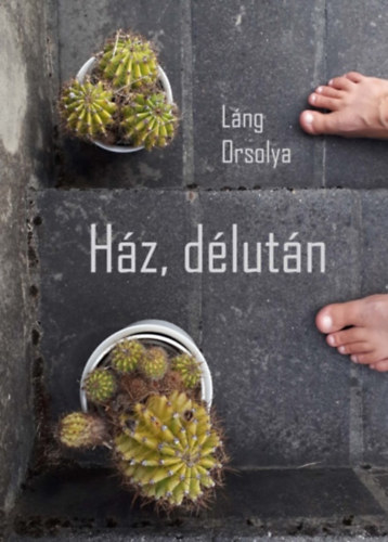 Knjiga Ház, délután Láng Orsolya