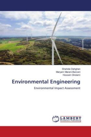 Kniha Environmental Engineering Maryam Marani-Barzani