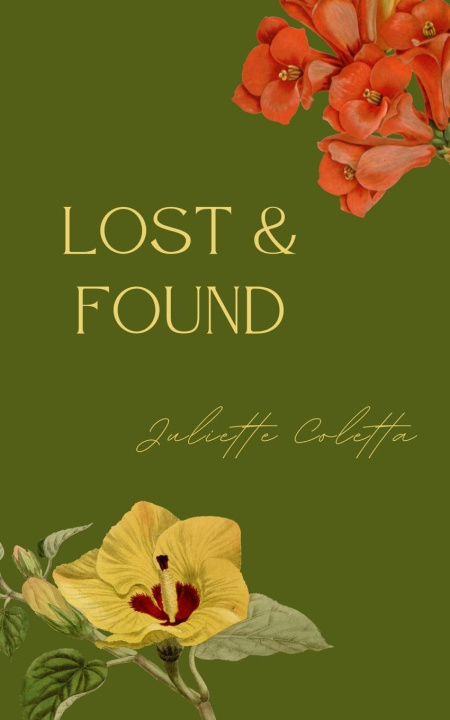 Knjiga lost & found Juliette Coletta