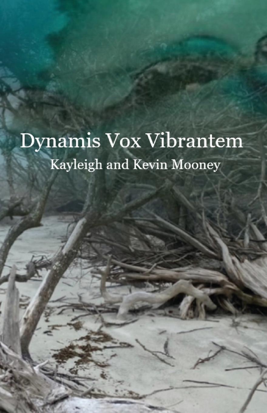 Kniha Dynamis Vox Vibrantem Kayleigh Mooney
