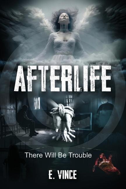 Knjiga AfterLife E. Vince